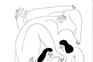 ASJ6_ILLUSTRATIONS_5