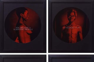 Carrie Mae Weems, From Here I Saw What Happened and I Cried 