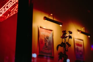 Joshua K. Jackson, Sleepless In Soho (2020)