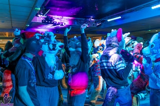 Furtannia by Tim Stoddard