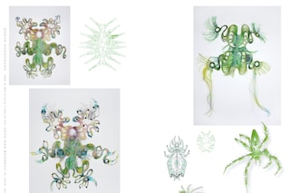 Inside Tomihiro Kono “Fancy Creatures”