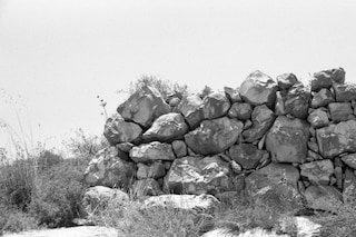 Palestine is Everywhere