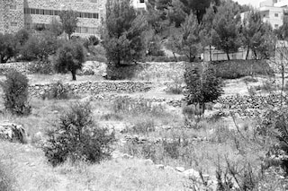 Palestine is Everywhere