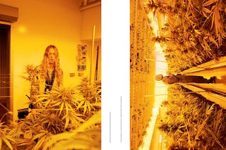 SYSTEM9_MarleyNaturalSupplement-2