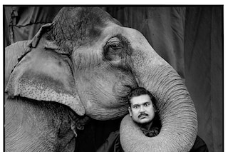 Mary Ellen Mark - The Book Of Everything 5