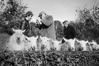 Martin Parr – Early Years 6