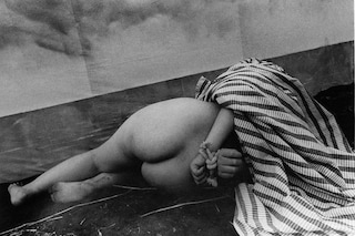 Daido Moriyama, provoke (mayfly) (1972)