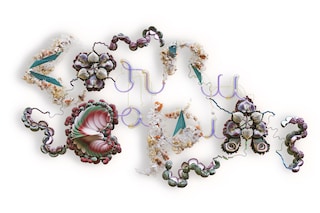 bjork_cornucopia_book_0_title