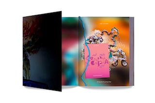 bjork_cornucopia_book_3