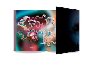 bjork_cornucopia_book_4