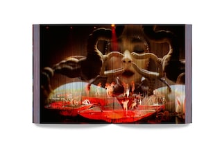 bjork_cornucopia_book_5