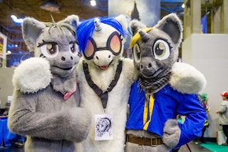 Furries