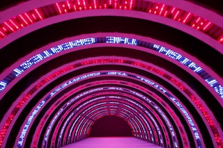 Jenny Holzer How to get the message across