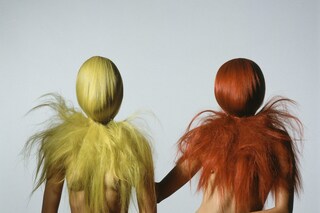 Irving Penn Phyllis Posnick