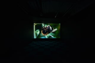 The Mesh at chi K11 Art Museum