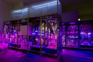 Superflux, “Mitigation of Shock” (London) (20190