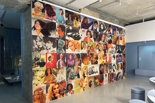 Des Cheveux et des Poils exhibition at the Mus&#233;e des Arts D&#233;