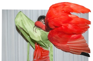 Viviane Sassen, Of Mud &amp; Lotus, &#39;Eudocimus Ruber&#39; (2017)