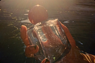 Pleasing Harry Styles Lambert fragrances perfume