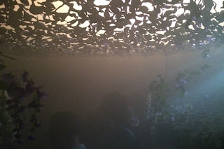 Hyperdub 20th anniversary
