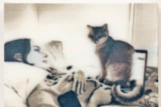 Camera Roll Orgy (2024)