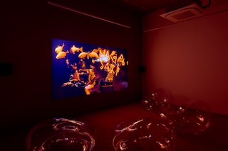 Shu Lea Cheang: Scifi New Queer Cinema 1994-2023