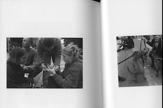 Robert F. George, Harmony Rats