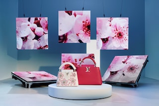 Louis Vuitton x Takashi Murakami Cherry Blossom