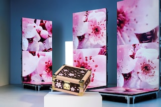 Louis Vuitton x Takashi Murakami Cherry Blossom