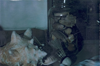 Roe Ethridge, Shells (Note Note Editions, 2025). 