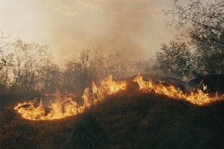 Of Streams and Lighthouses, and In Between