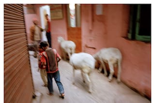 Sunil Gupta: Life with a Camera, 1970 to Now