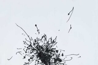 Kite Drawing 