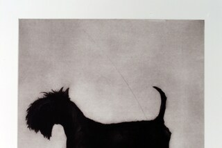 Hamish by Helen Fay