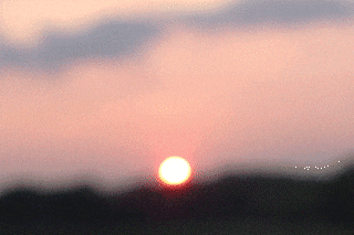 tumblr_nakk69A5lO1rfp0s4o1_400