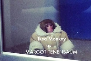 tumblr_mf47z15xgq1qlx7uvo1_500