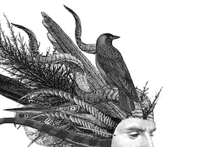 Dan Hillier