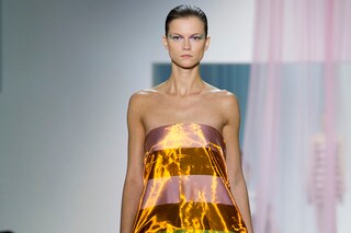 Christian Dior Womenswear SS13