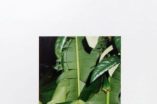 Grass Warm Trifecta &#39;Untitled&#39; 2012 (1)