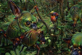 Google deep dream forest