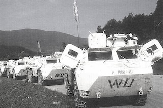 wu peacekeepers
