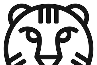 IFFR_tijgerkop