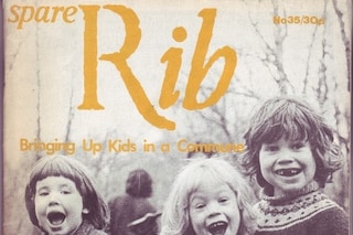 Spare Rib