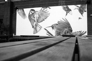 "Migration" at the Truman Brewery, London.
