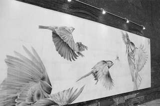 "Migration" at the Espeis Gallery in Williamsburg,