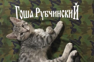@rafthecat Raf The Cat Instagram streetwear