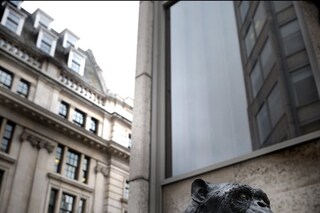 Mimetes Anon, 2009, Alastair Mackie