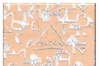 Front cover of Tender, Issue 1