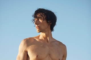 adam driver burberry hero