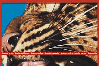 Untitled (Another artist . Another exhibition . An